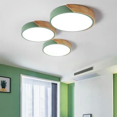 ARTRA Scandinavian LED Ceiling Light
