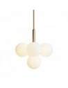 Grape Globe Pendant Lamp