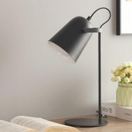 مصباح طاولة مفعم بالحيوية