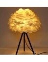 PLUME Table Light