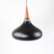 ORIUS Modern Hanging Lamp