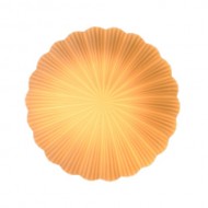 DEVAN Seashell Ceiling Lamp