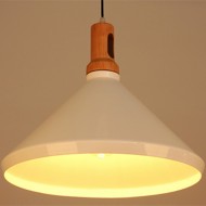 SCANDI Woody Pendant Light