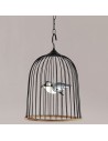 Modern Cage Pendant Light