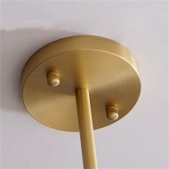 Grape Globe Pendant Lamp