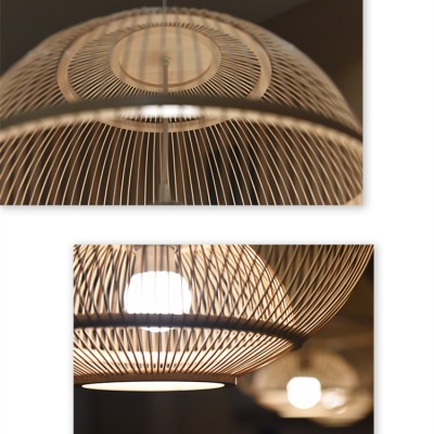 Gardening Wabi-sabi Retro Pendant Light